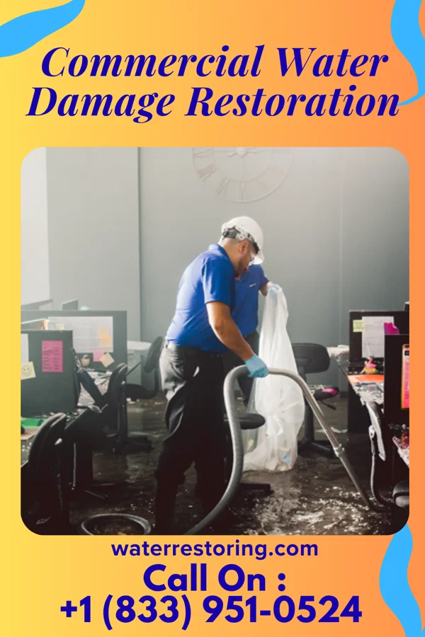 Commercial Water Damage Restoration in Matewan, WV