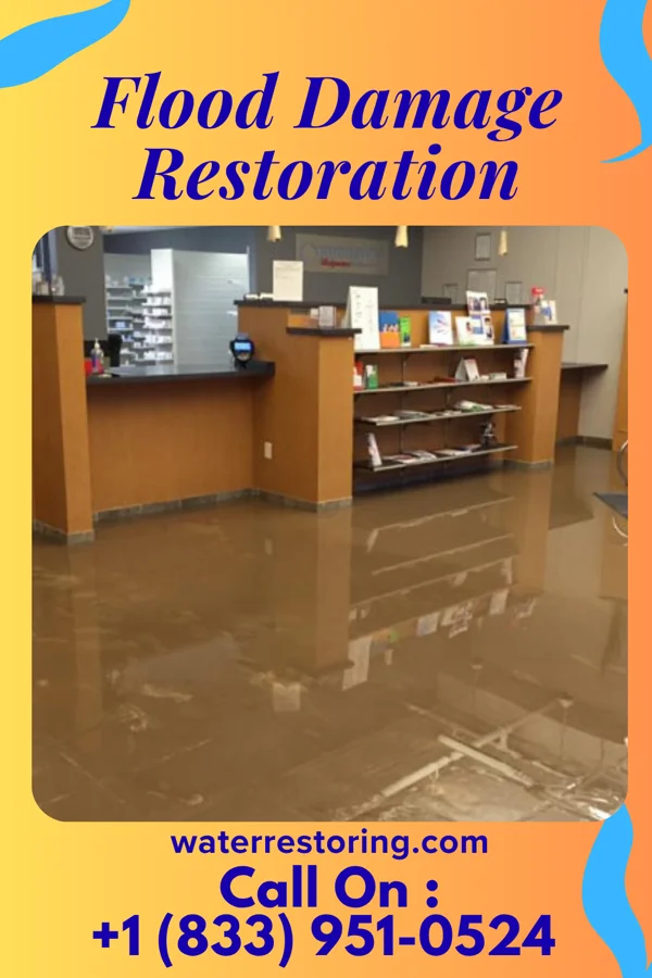 Flood Damage Restoration in Matewan, WV