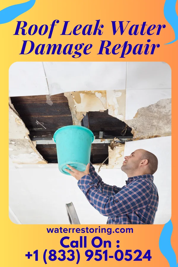 Roof Leak Water Damage Repair in Matewan, WV