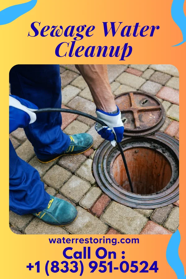 Sewage Water Cleanup in Matewan, WV